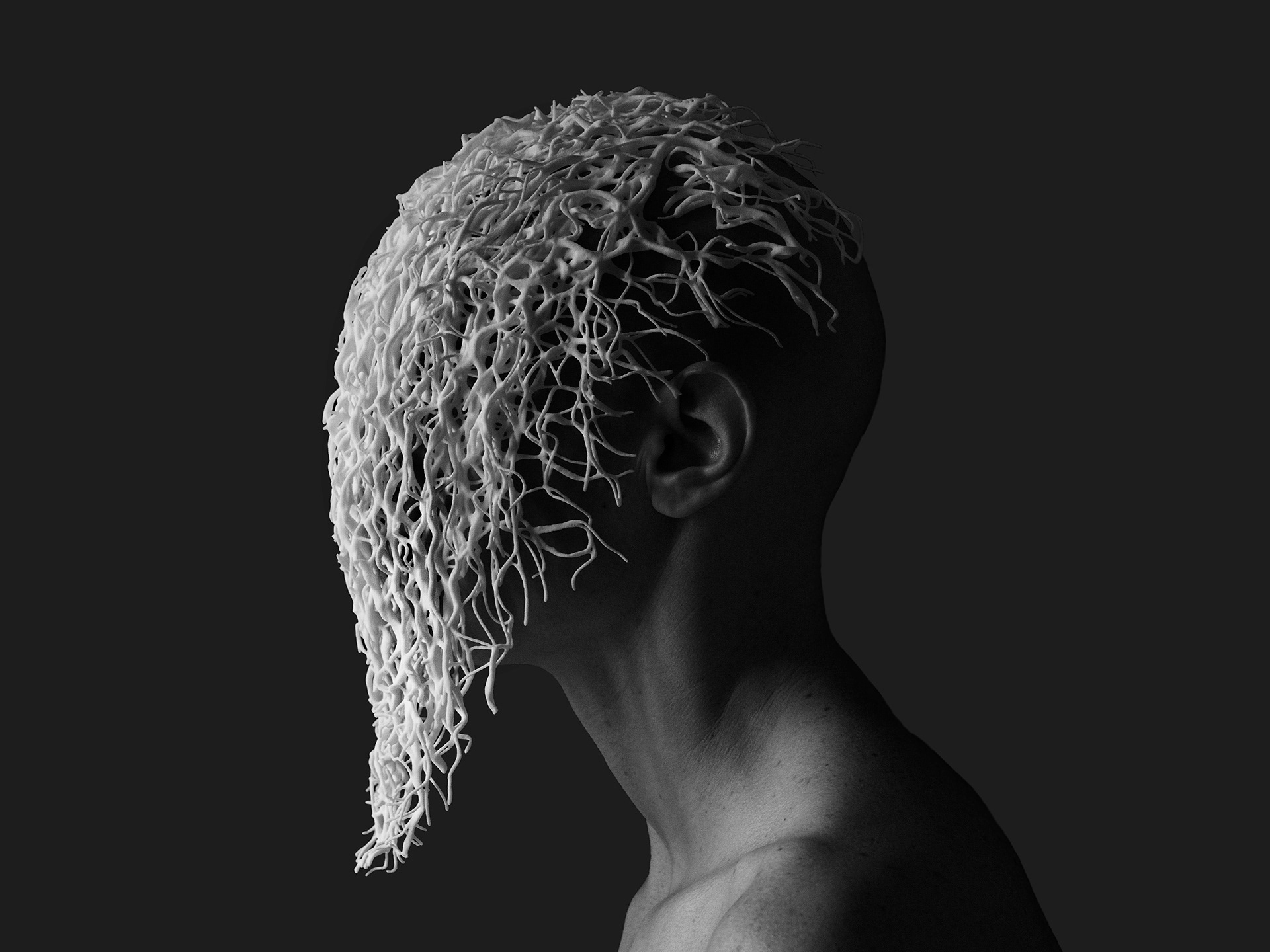 body_architecture_4_work (36).jpg